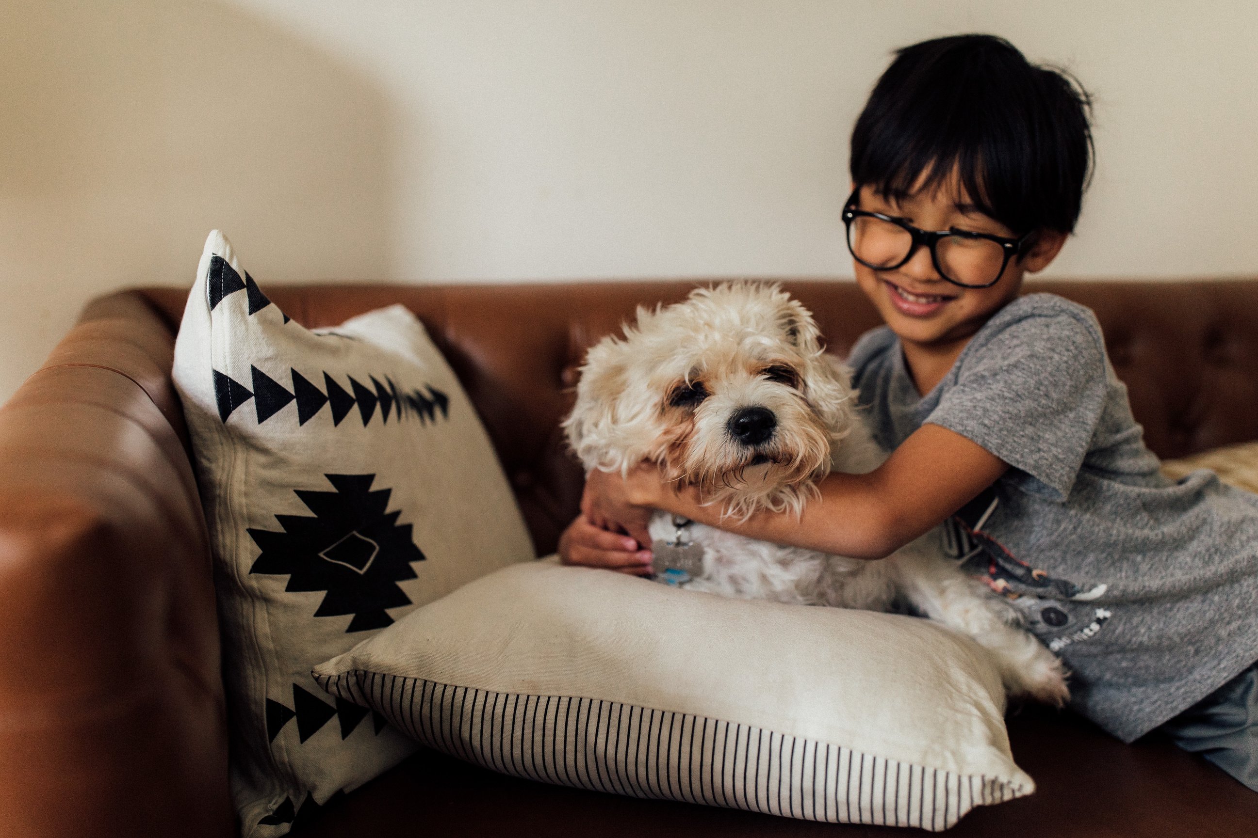 Young boy playing with pet dog at home